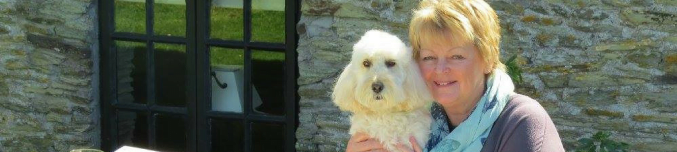 Cockapoo Envy