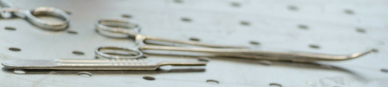 Spaying or Neutering Your Dog