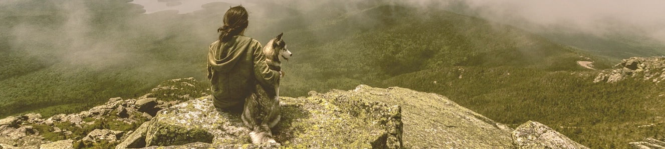10 Tips on How to Form a Lifelong Bond with your Dog