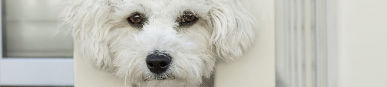 Separation anxiety – taking back control