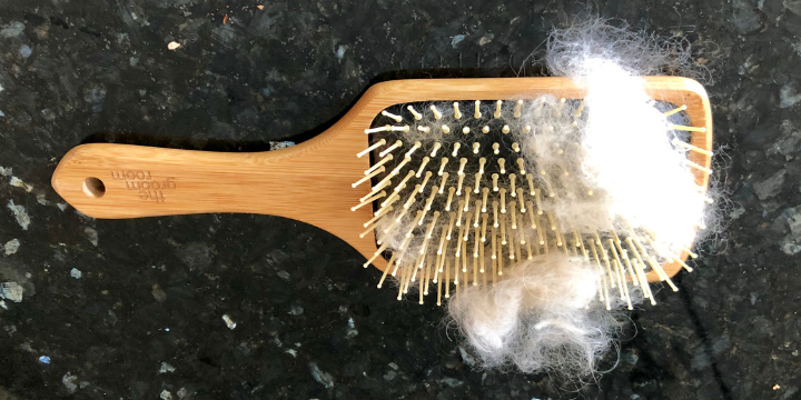 Dog Grooming Brush with shedding hair