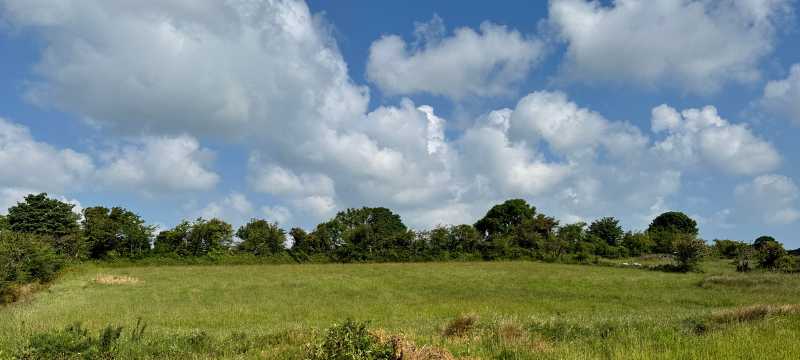The fields at Brynteg Glamping