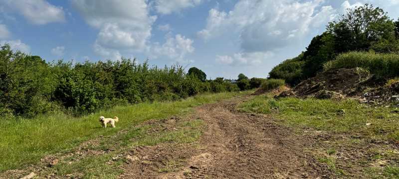 The walk on Brynteg Glamping