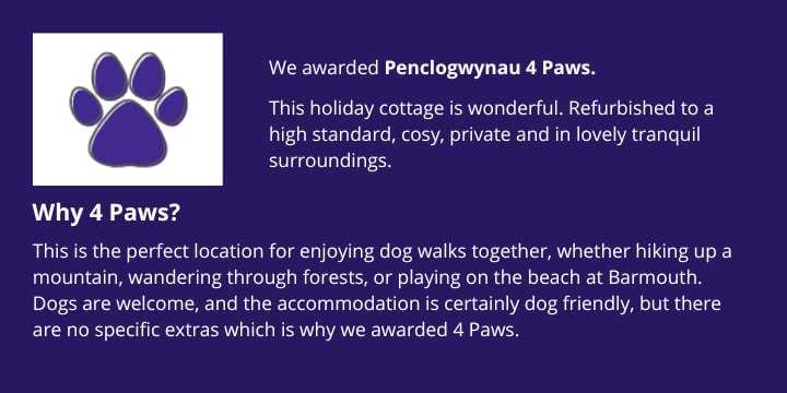 Snowdonia dog walks
