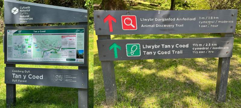 Snowdonia dog walks