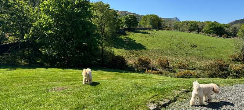 The huge garden at Penclogwynau.