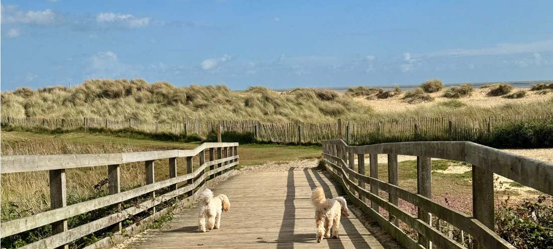 Freya and Frankie walking towards Walberswick beach.