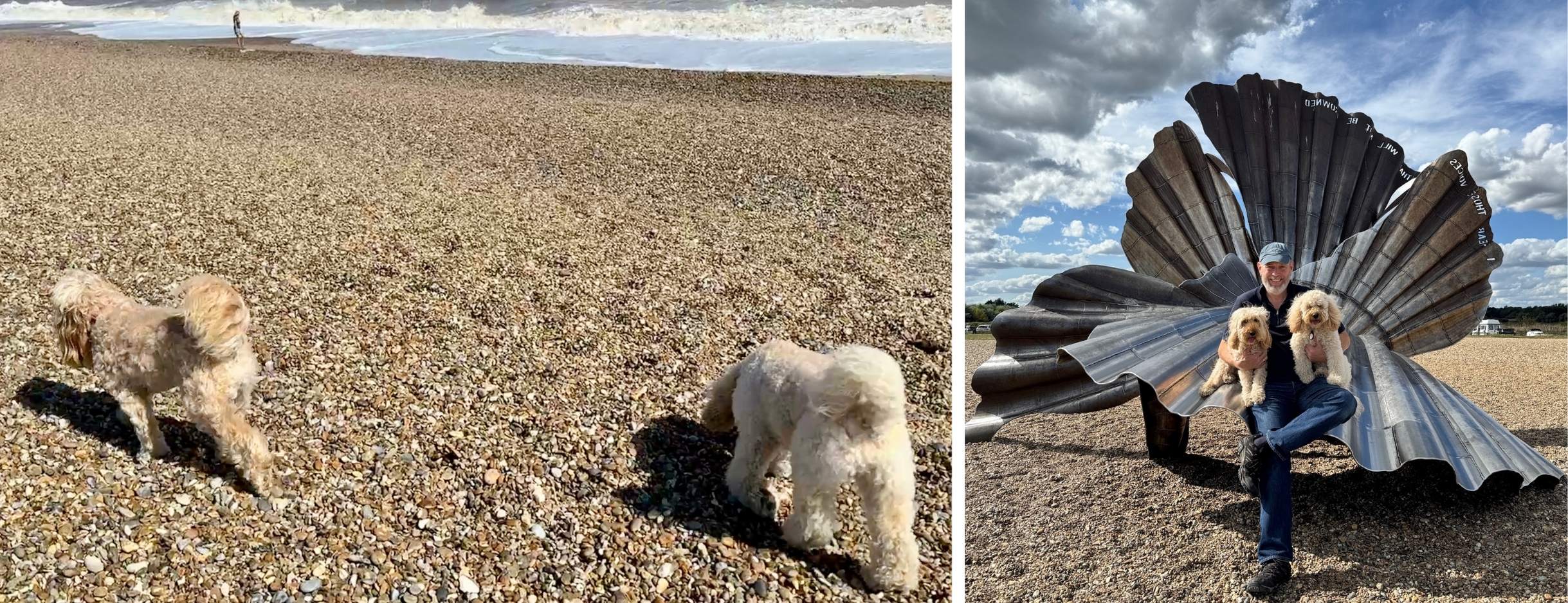 Freya and Frankie walking on the far end of Aldeburgh beach.