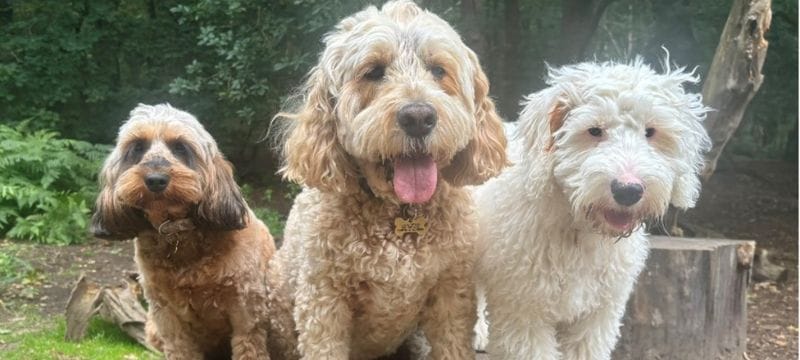 Digby with sister Frieda on his left and brother Benson on his right.